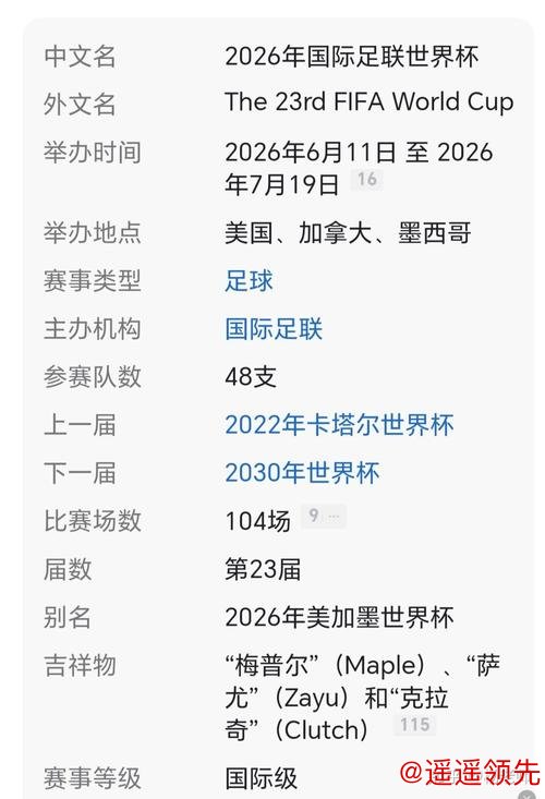 2026年世界杯滚球官网最新地址解析