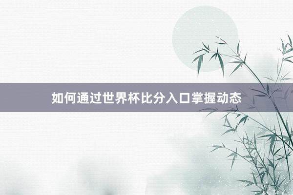 如何通过世界杯比分入口掌握动态